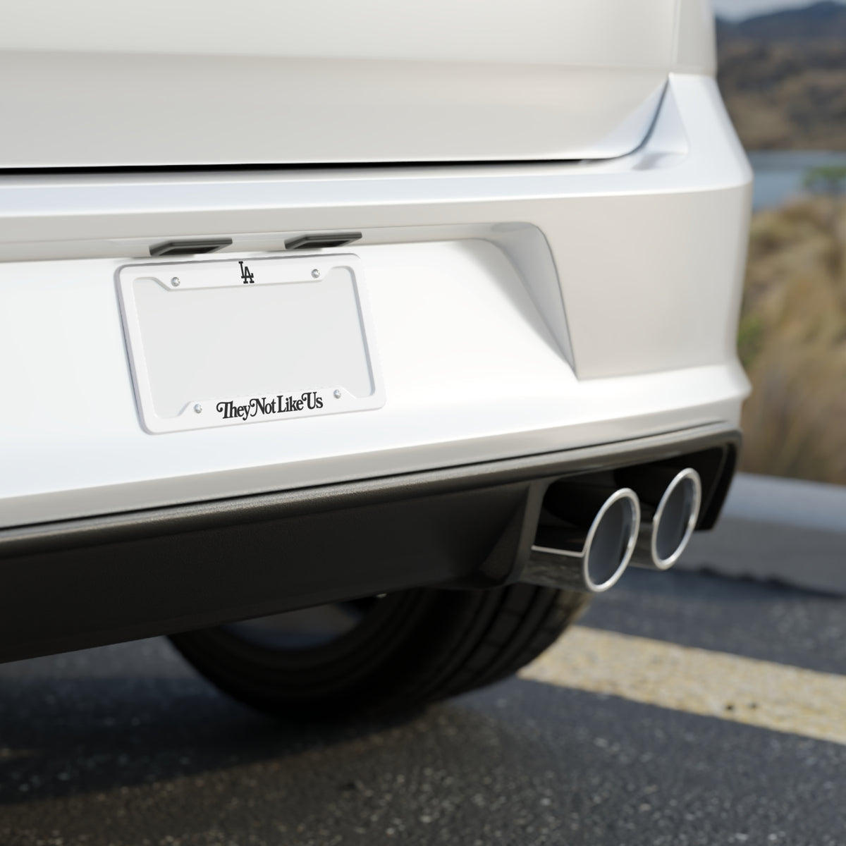 License Plate Frame — 'TheyNotLikeUs' LA Script Car Plate Frame